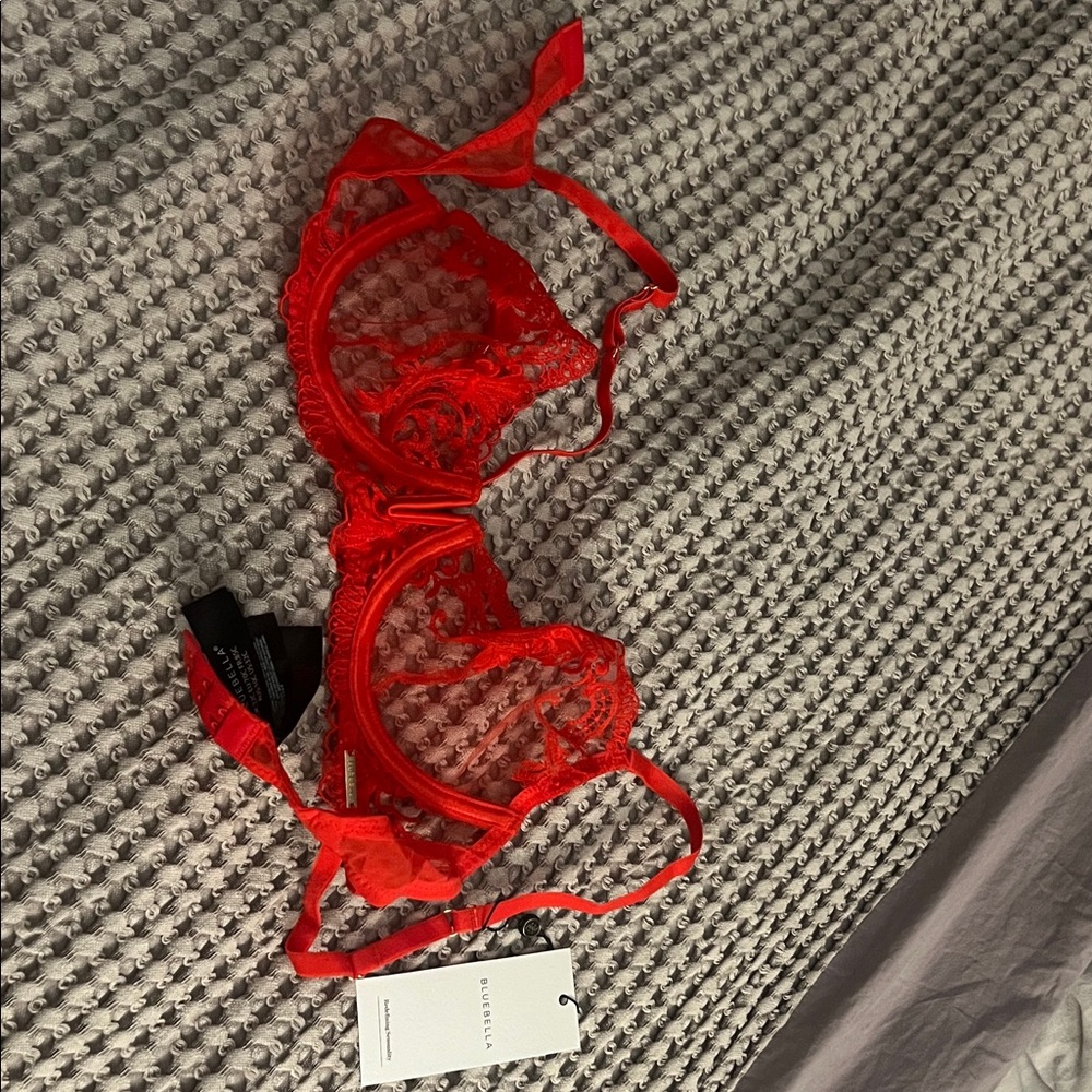 Bluebella Marseille Embroidered Sheer Bra